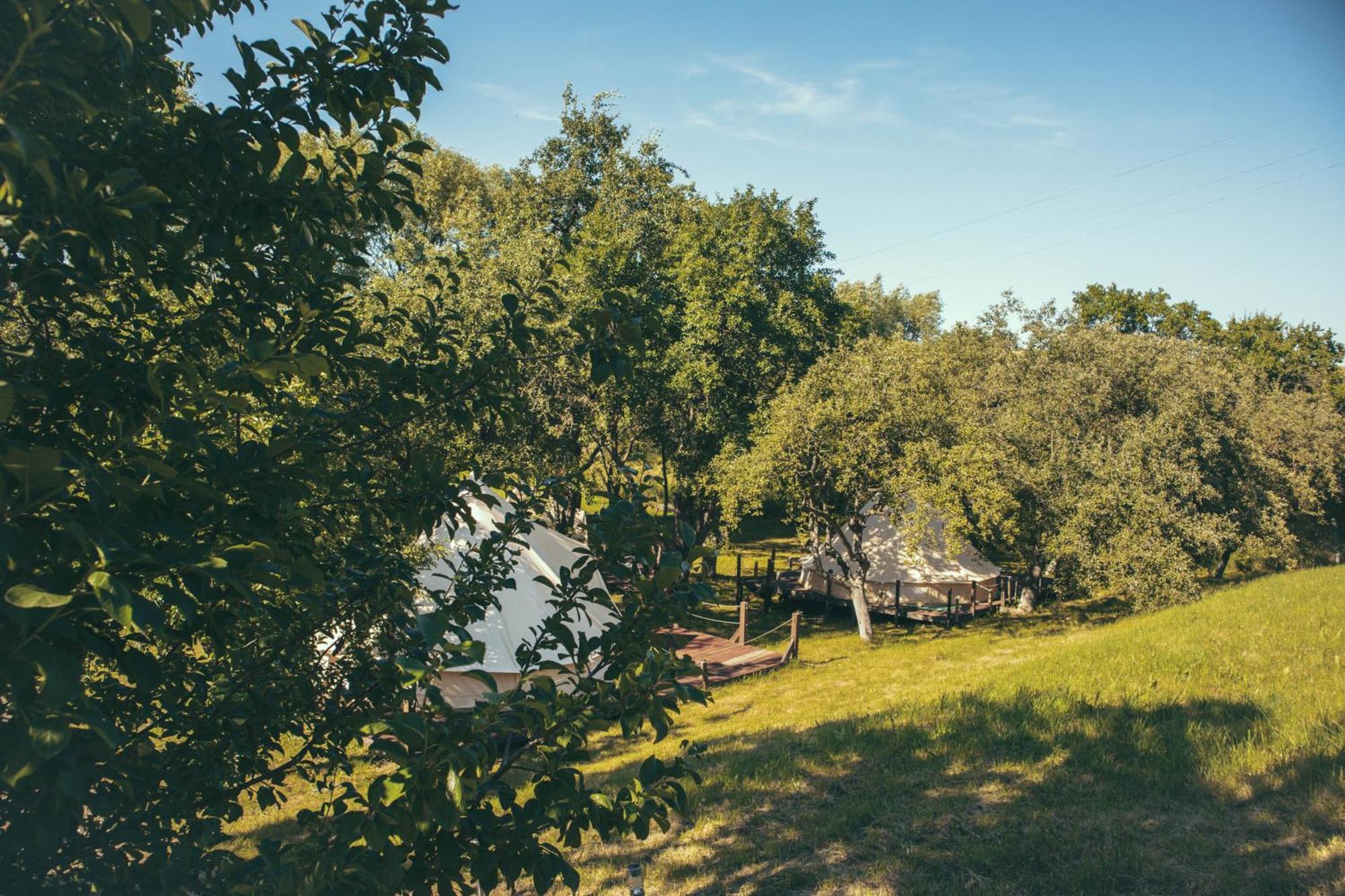 My Lake Glamping Dalnic Ngoại thất bức ảnh