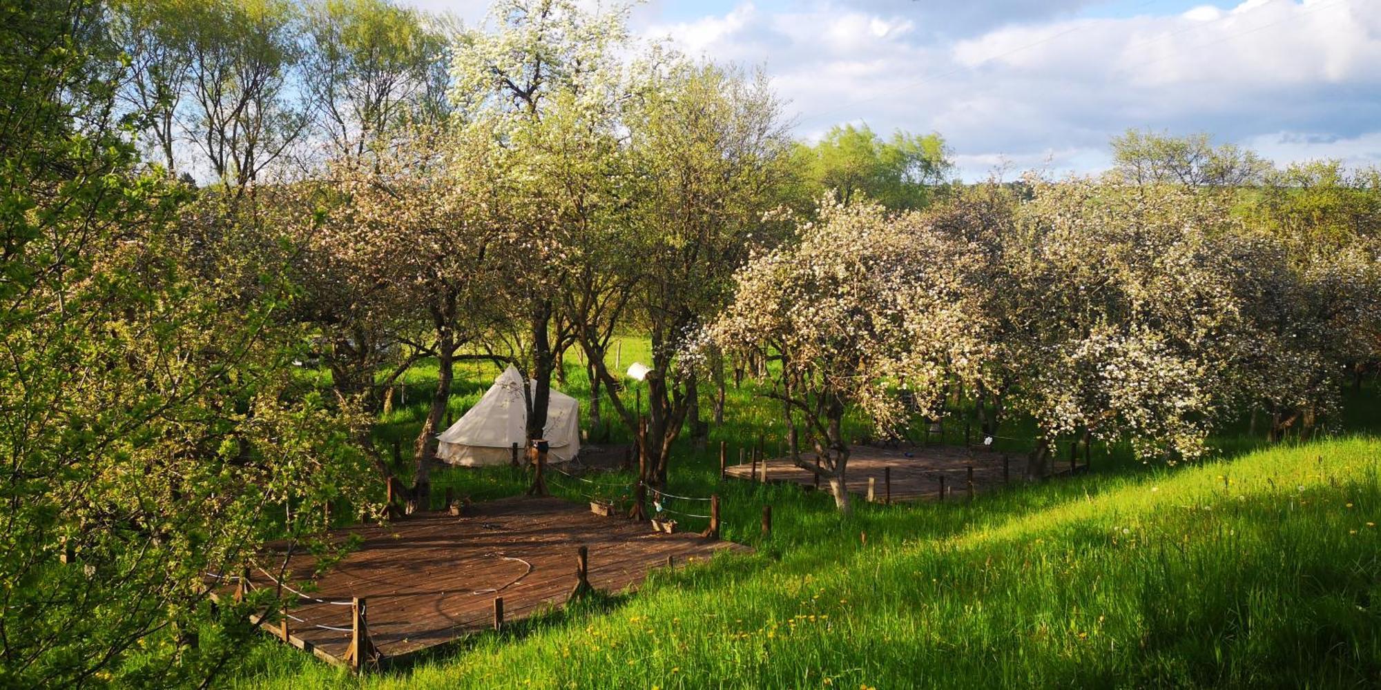 My Lake Glamping Dalnic Ngoại thất bức ảnh